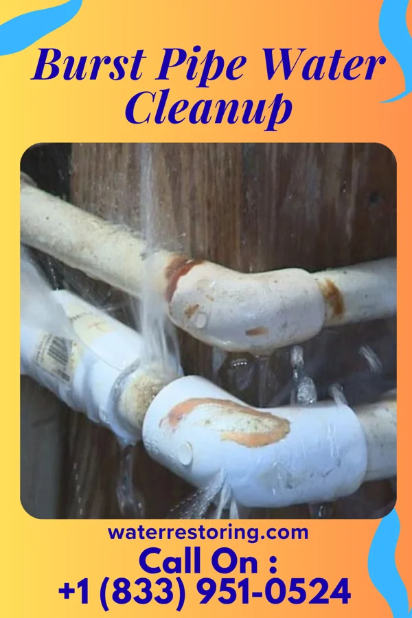 Burst Pipe Water Cleanup in Saint Benedict, KS